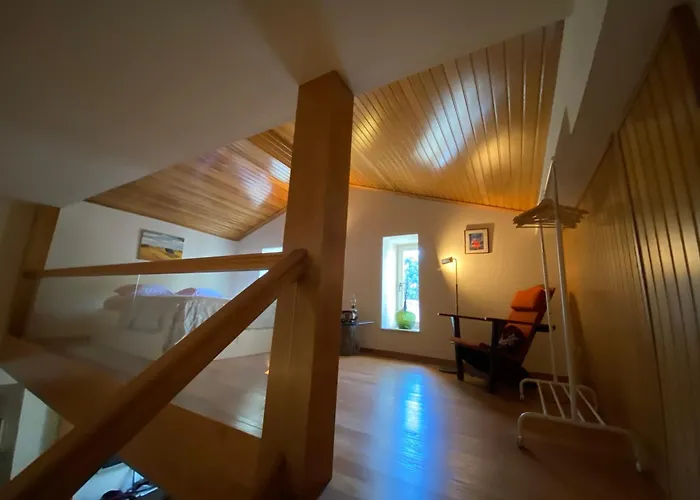 Casa Dos Capitães Mores - Flor 3*